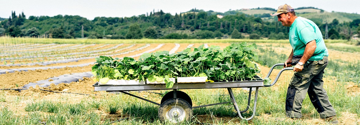 Agricoltura sociale e biologica