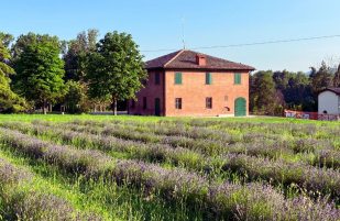 L’agriturismo è aperto!