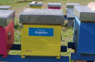 A Natale regala il futuro!