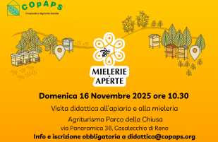 Torna Mielerie Aperte!