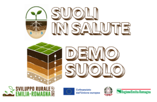 A tutto SUOLO!