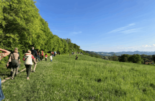 Passeggiata Patrimoniale al Parco della Chiusa